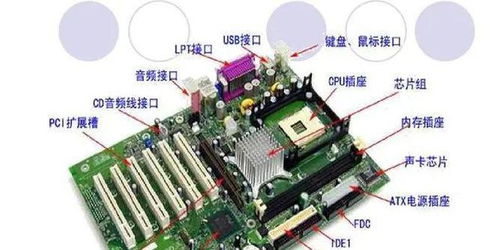 計(jì)算機(jī)硬件的組成、功能與發(fā)展